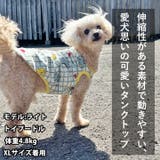 犬 服 犬服 | K-city | 詳細画像2