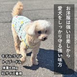 犬 服 犬服 | K-city | 詳細画像4