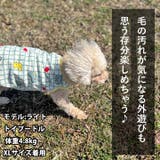 犬 服 犬服 | K-city | 詳細画像5