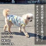 犬 服 犬服 | K-city | 詳細画像6