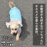 犬 服 犬服 | K-city | 詳細画像2