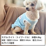 犬 服 犬服 | K-city | 詳細画像3