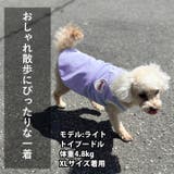 犬 服 犬服 | K-city | 詳細画像4
