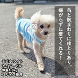 犬 服 犬服 | K-city | 詳細画像8
