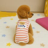 犬 服 犬服 | K-city | 詳細画像3