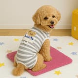 犬 服 犬服 | K-city | 詳細画像4