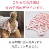 犬 服 犬服 | K-city | 詳細画像8