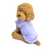 犬 服 タンクトップ | K-city | 詳細画像2 