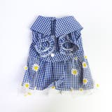 犬 服 犬服 | K-city | 詳細画像5 