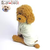 犬 服 犬服 いぬ 犬の服 トレーナー リボン 女の子 | K-city | 詳細画像1 