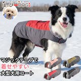 着せやすい大型犬用コート 犬服 大型犬 | K-city | 詳細画像1 