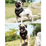 ハーネス 犬 首の負担が少ない | K-city | 詳細画像2 