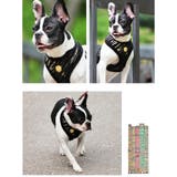 ハーネス 犬 首の負担が少ない | K-city | 詳細画像3 
