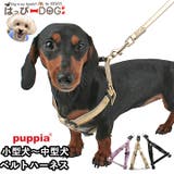 ハーネス 犬 首の負担が少ない | K-city | 詳細画像1 