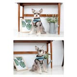 ハーネス 犬 首の負担が少ない | K-city | 詳細画像2