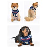 ハーネス 犬 首の負担が少ない | K-city | 詳細画像3
