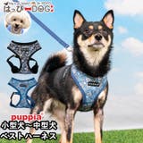 ハーネス 犬 首の負担が少ない | K-city | 詳細画像1 