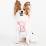 ベストハーネス 足跡柄 PUPPIA | K-city | 詳細画像5 