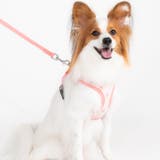 ベストハーネス 足跡柄 PUPPIA | K-city | 詳細画像6 