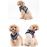 ハーネス 犬 首の負担が少ない | K-city | 詳細画像3