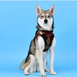 ハーネス 犬 首の負担が少ない | K-city | 詳細画像2