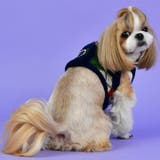 ハーネス 犬 首の負担が少ない | K-city | 詳細画像3