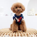 ハーネス 犬 首の負担が少ない | K-city | 詳細画像4