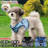 ハーネス 犬 首の負担が少ない | K-city | 詳細画像1