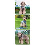 ハーネス 犬 首の負担が少ない | K-city | 詳細画像3