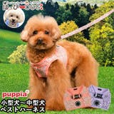 ハーネス 犬 首の負担が少ない | K-city | 詳細画像1