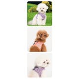 ハーネス 犬 首の負担が少ない | K-city | 詳細画像3