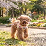 ふんわり春色ベストハーネス 犬 ハーネス | K-city | 詳細画像2