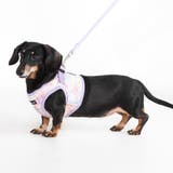 ふんわり春色ベストハーネス 犬 ハーネス | K-city | 詳細画像6