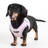 ふんわり春色ベストハーネス 犬 ハーネス | K-city | 詳細画像7