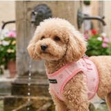 ハーネス 犬 PUPPIA | K-city | 詳細画像3 