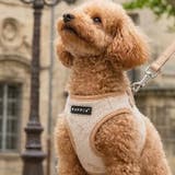 ハーネス 犬 PUPPIA | K-city | 詳細画像4 