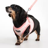 ハーネス 犬 PUPPIA | K-city | 詳細画像5 