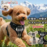 犬 ハーネス ソフト | K-city | 詳細画像1 