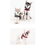 ハーネス 犬 首の負担が少ない | K-city | 詳細画像2