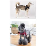 ハーネス 犬 首の負担が少ない | K-city | 詳細画像3