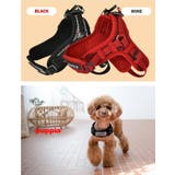 ハーネス 犬 首の負担が少ない | K-city | 詳細画像5