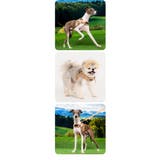 ハーネス 犬 首の負担が少ない | K-city | 詳細画像3