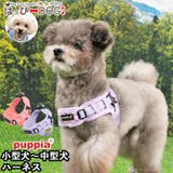 ハーネス 犬 首の負担が少ない | K-city | 詳細画像1