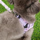 ハーネス 犬 首の負担が少ない | K-city | 詳細画像4