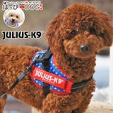 ハーネス 犬 Julius | K-city | 詳細画像1