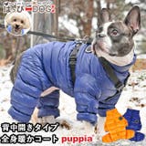 犬 服 犬服 | K-city | 詳細画像1 