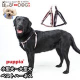 ハーネス 犬 小型犬 | K-city | 詳細画像1