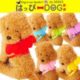 犬 服 犬服 | K-city | 詳細画像1