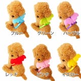 犬 服 犬服 | K-city | 詳細画像4