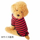 犬 服 犬服 | K-city | 詳細画像2 